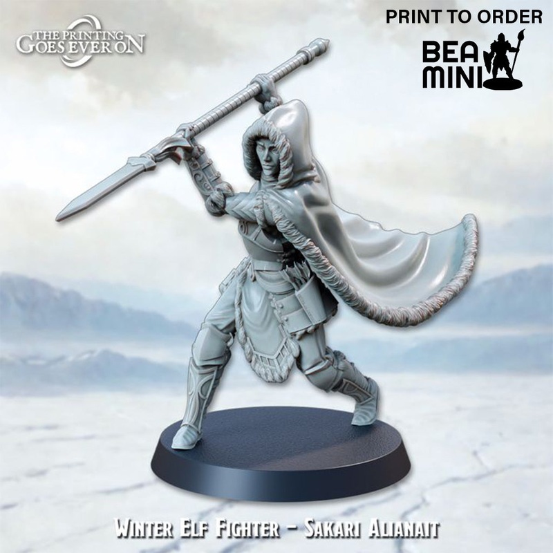 Elf Fighter  Sakari Alianait | BeaMini Print to Order Miniatures