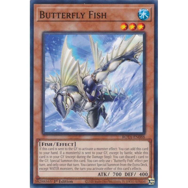 Butterfly Fish [ROTA-EN088] Common